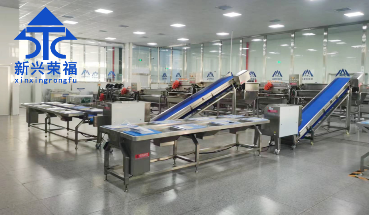 日供蔬菜20噸，新興榮福承建凈菜加工項(xiàng)目完成驗(yàn)收